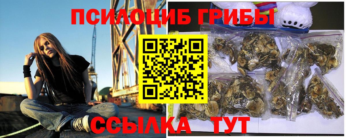купить закладку  Вход с VPN  Ржев  Псилоцибиновые грибы Psilocybine cubensis  Псилоцибиновые грибы ЛСД 
